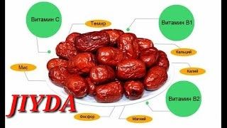 Jiyda жийда джийда чилон жийда Унаби Зизифус