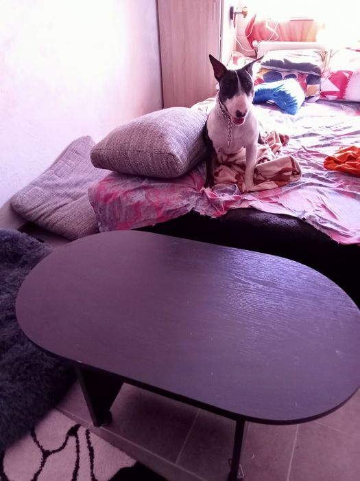 Măsuță mica și utila