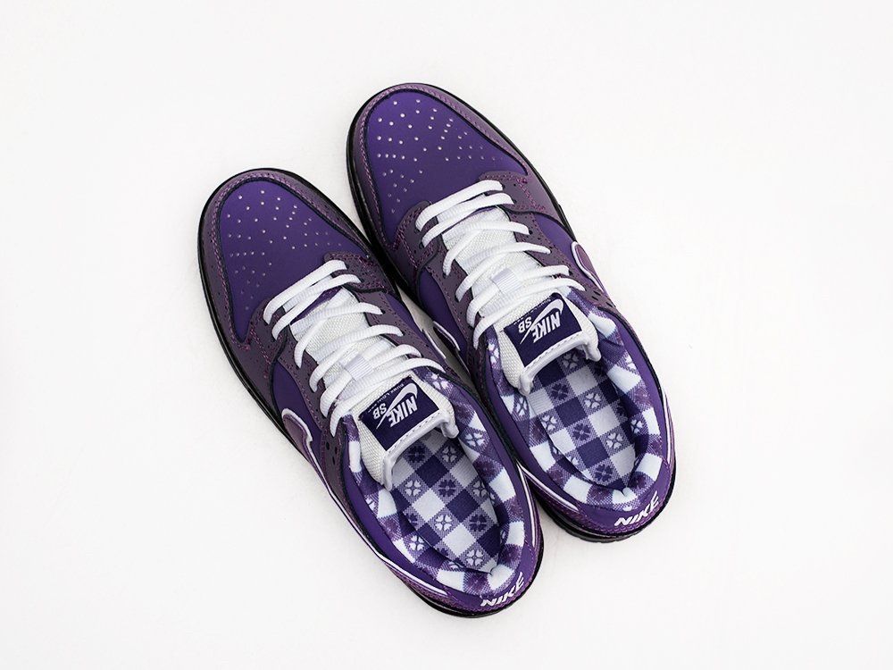 consepts X nike SB SB dunk low «PURPLE LOBSTER»