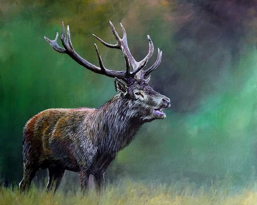 Picturi - peisaje natură / vânat