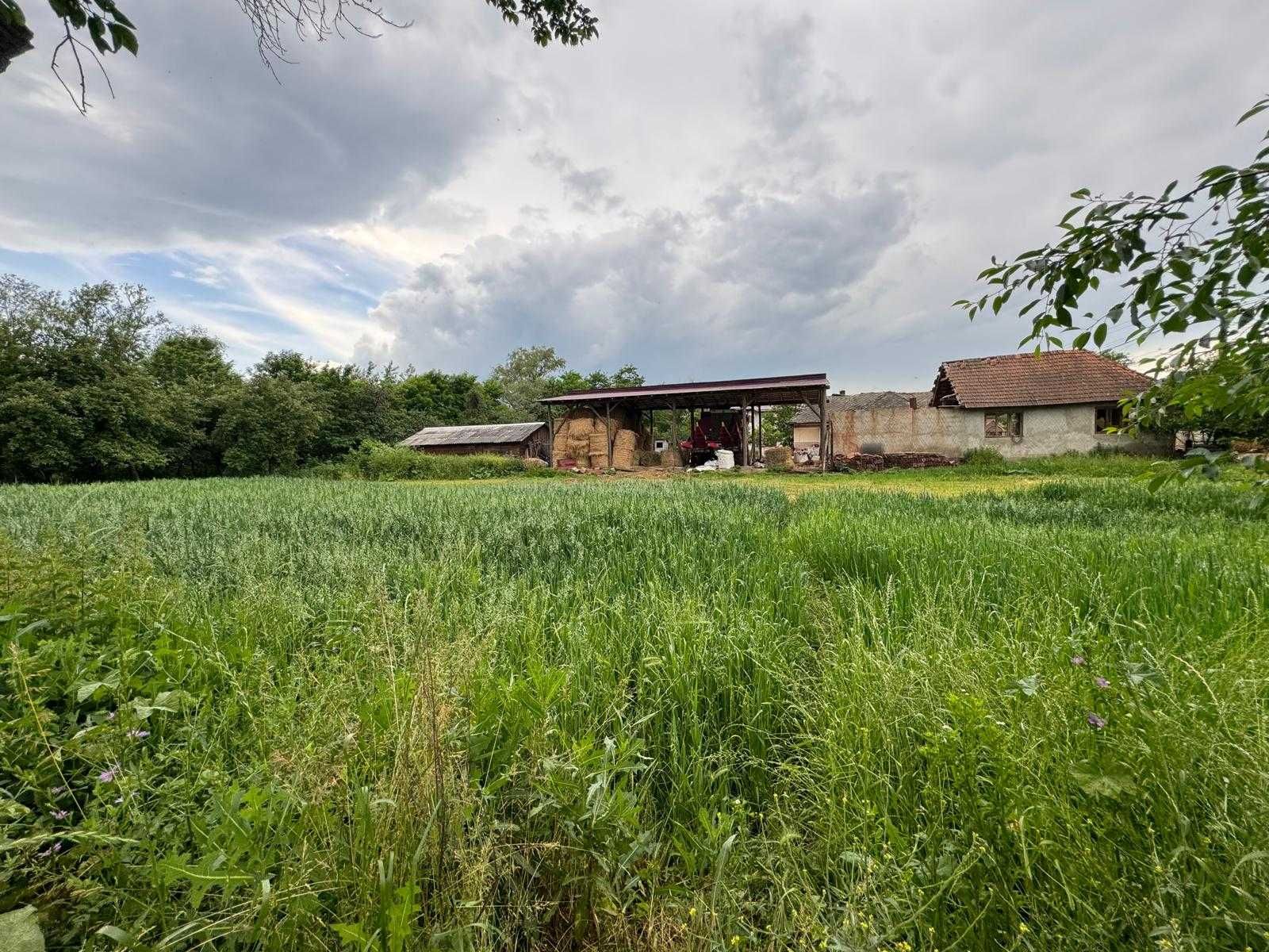Casă cu teren întravilan de 3500 sau 4100 mp in Inău, Salaj