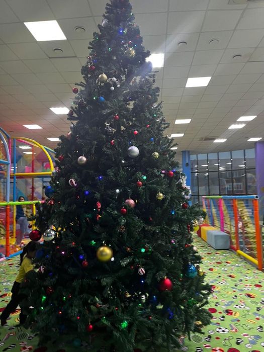 продаеться ёлка.