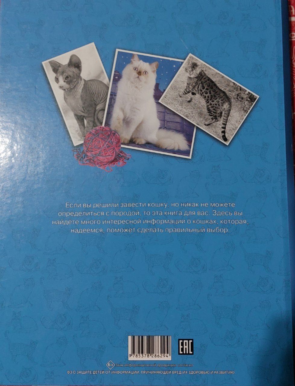 Новая книга энциклопедия кошки