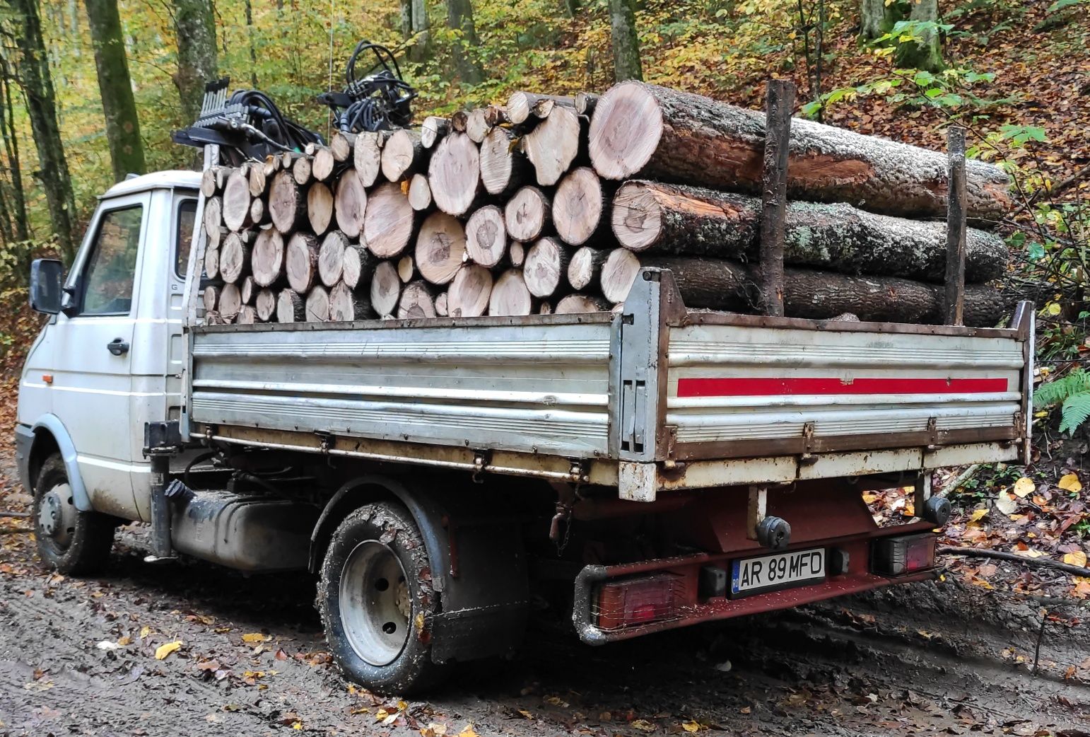 Lemne foc esențe tari!