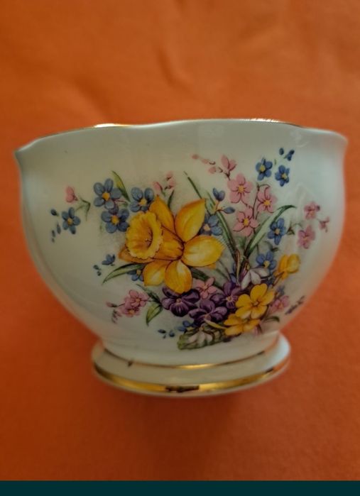 Каничка и открита захарничка