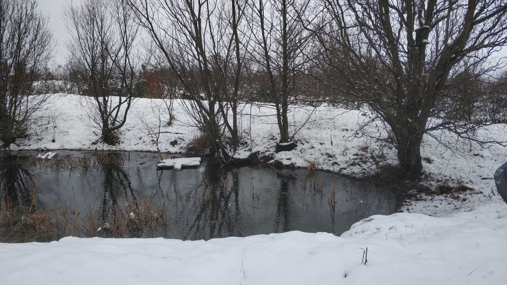 Ашладисване, озеленяване около Елхово, Ямбол, Бургас