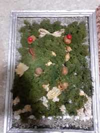 Tablou cu licheni