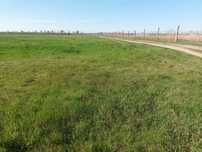 Teren Extravilan in Varsand, 7ha, pasune, ideal  parc fotovoltaic