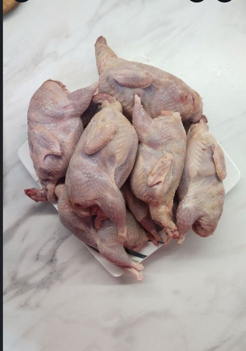 Домашние перепилиные мясо