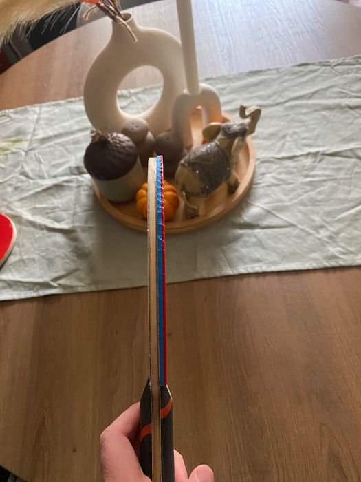 Donic Zhang Zike Original Carbon