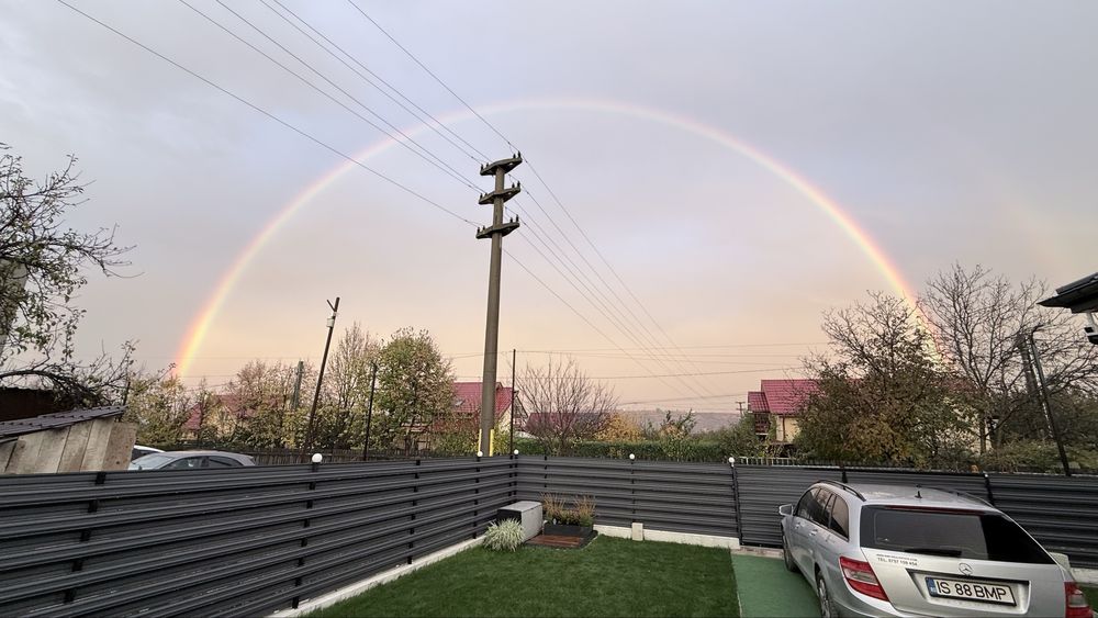 Gazon | Aspersoare | Borduri | Mentenata