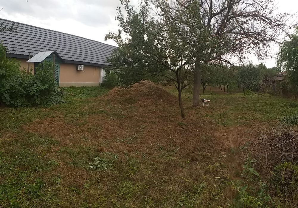 Teren de vanzare Cerneteaz