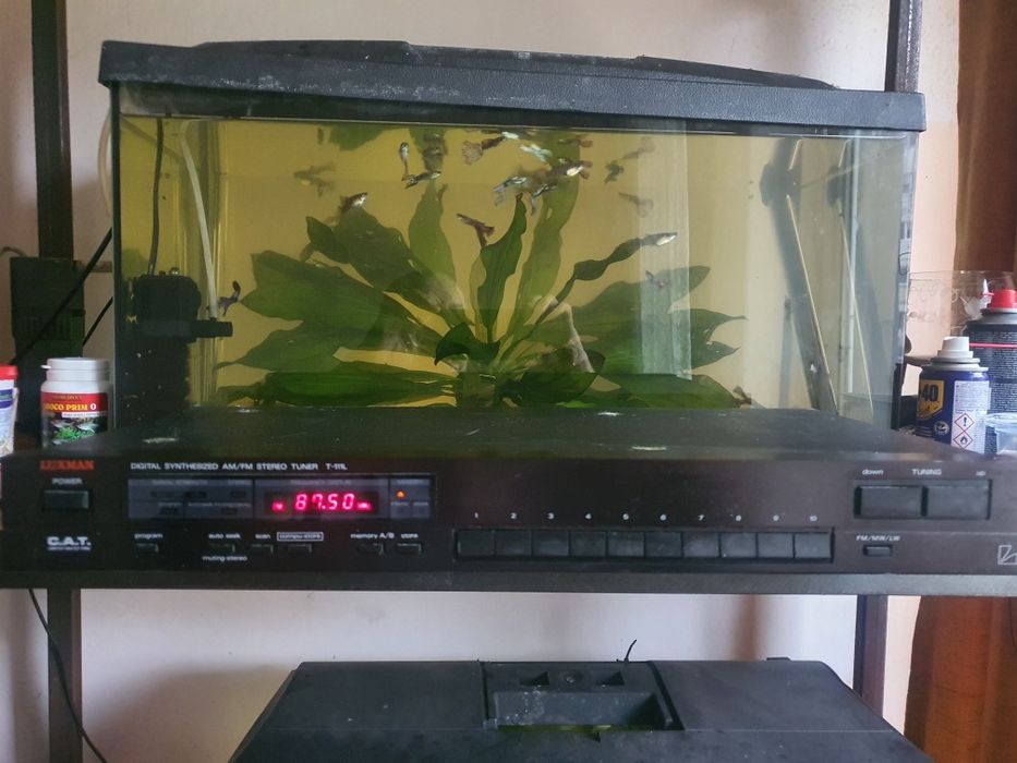 tuner luxman t 111 l