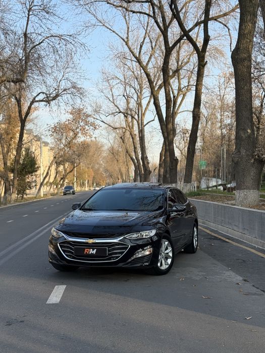 Malibu premier 2022 tinu