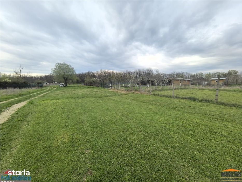 Teren zona agrement padure Vladimirescu