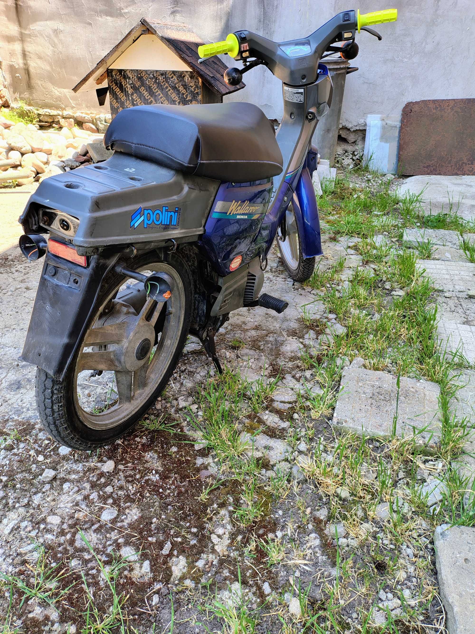 Мотопед скутер Honda wallaroo