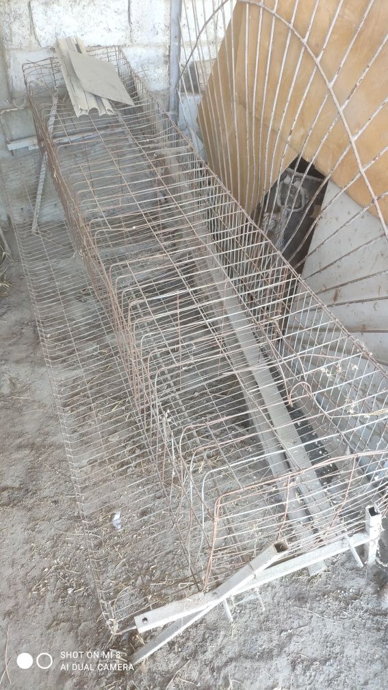Tovuq katak sotiladi.