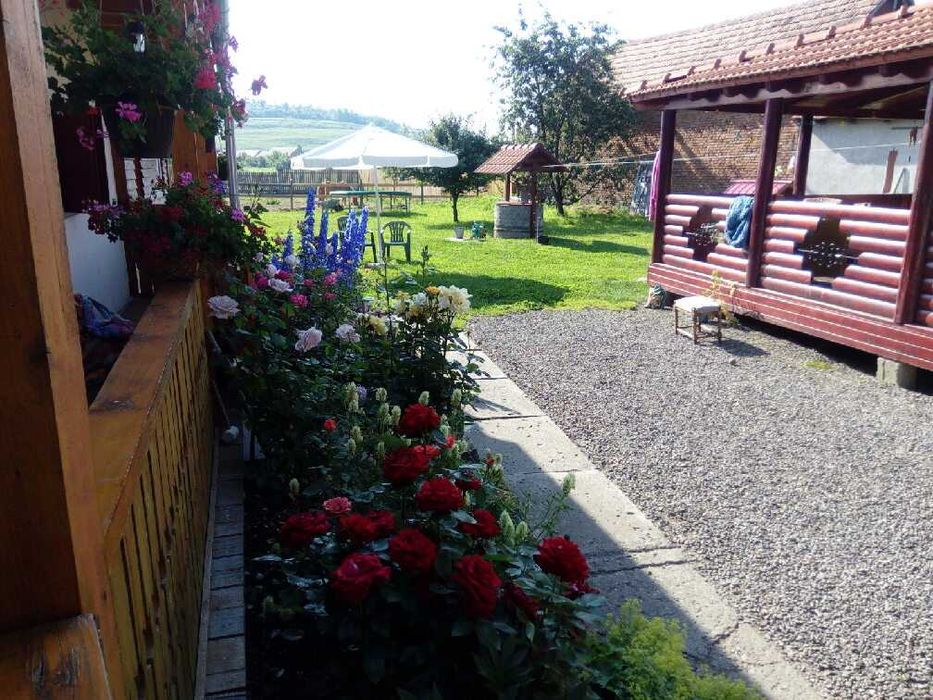 2 case si teren mare de vanzare in Peris jud. Mures