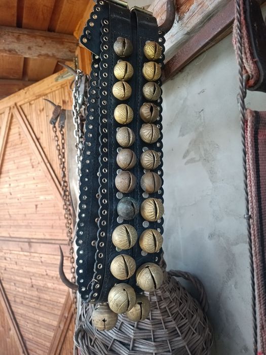 Centura zurgălăi