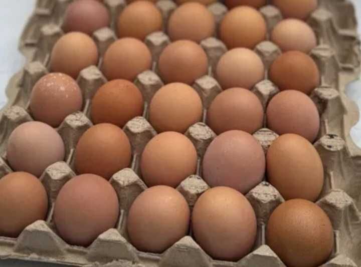 Продам домашние яйца