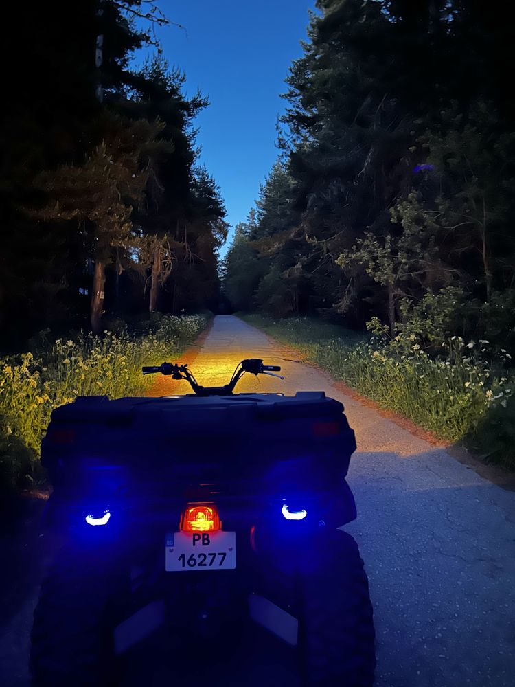 Yamaha Grizzly 660 Special Edition & Vertex