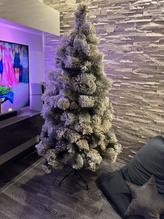 Елха 3 Д заскрежена