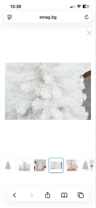 Коледна бяла елха