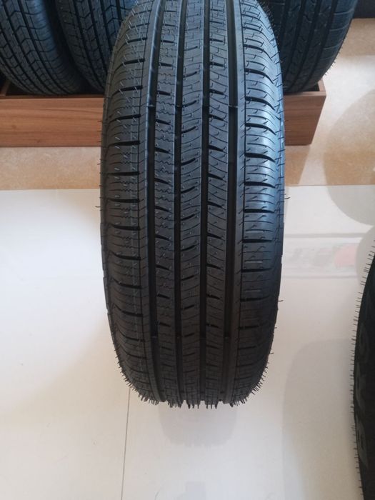 Bars balonlari hamma fasl uchun