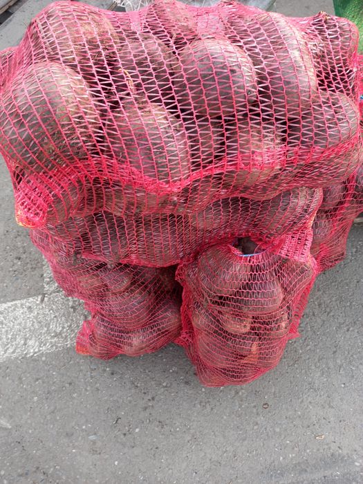 Sfecla rosie cantitate mare