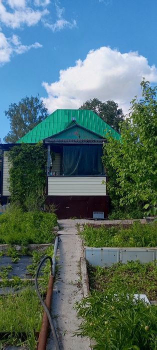 Продаю срочно дачу ДО МИЧУРИНЕЦ
