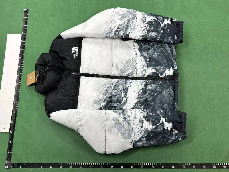 The North Face Jacket