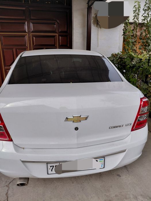 Cobalt stayl at 2024 yil