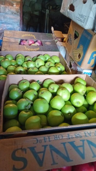 Vând mere calitate superioara