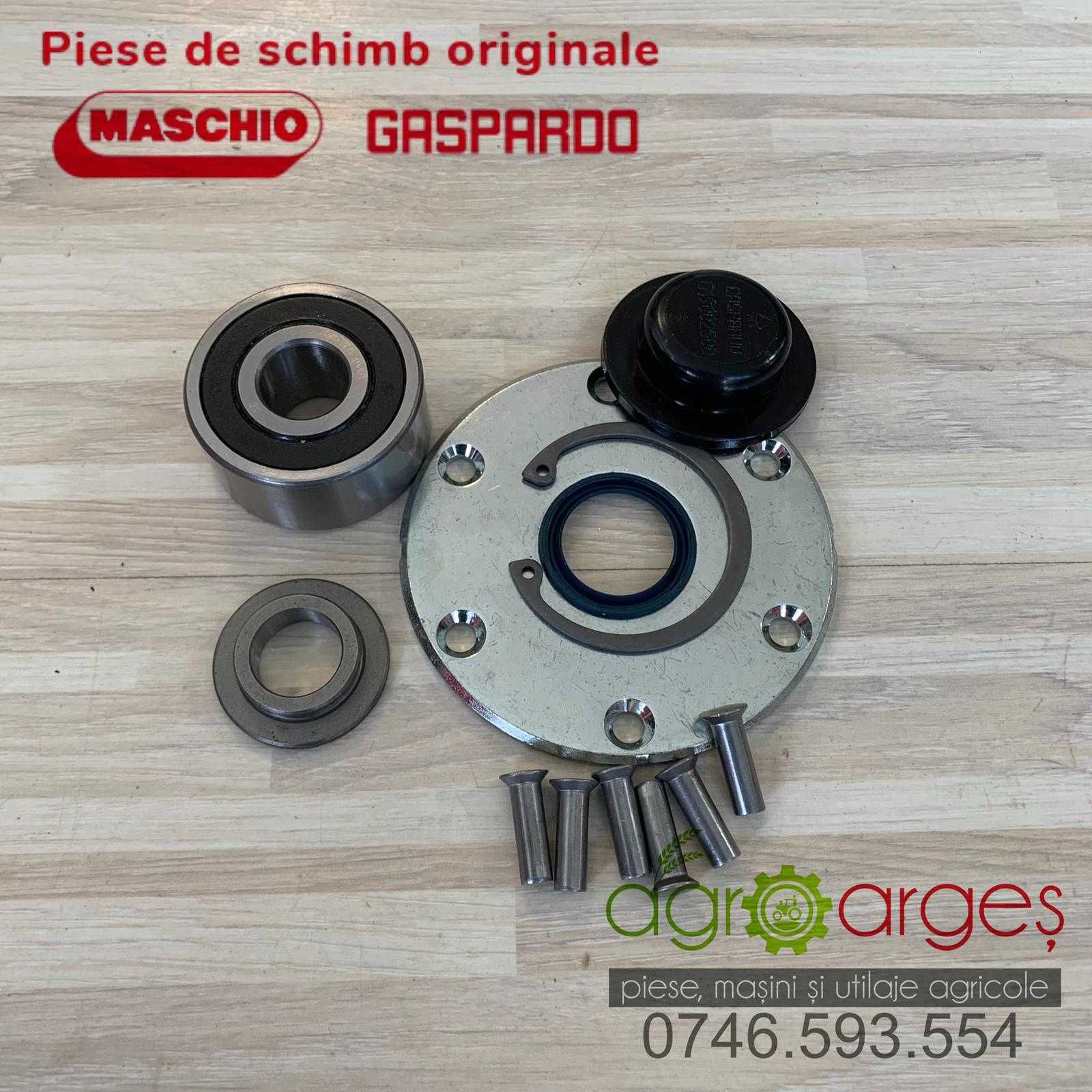 Kir reparatie butuc disc G15226600R Gaspardo