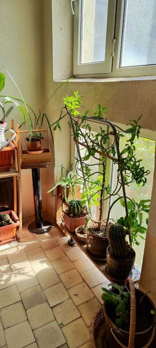 м.Х.Алимжана Дархан 3-комн 4/5 140 м² спецплан с лифтом без ремонта