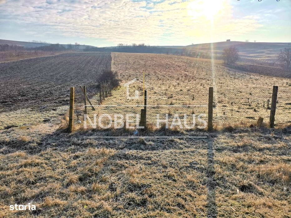 Teren intravilan 1041 mp, Grivita