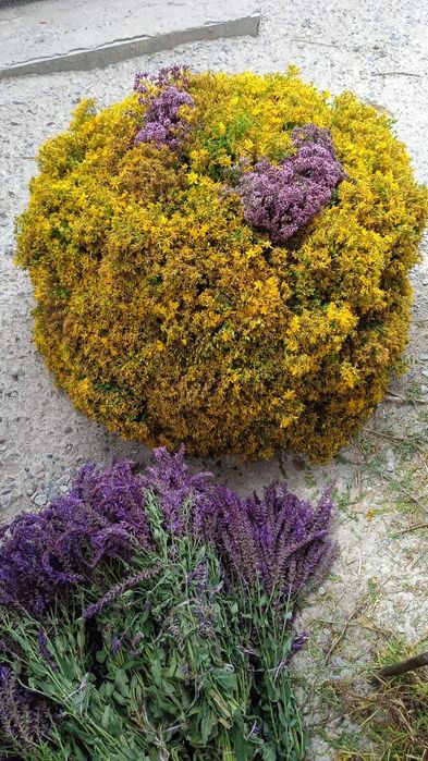 Сухотравия для Бани и Здоровья