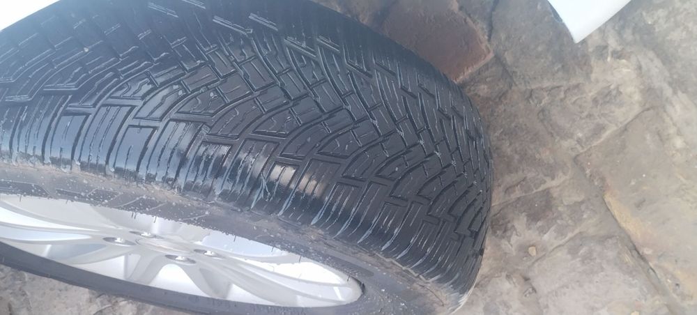 Turkiya Petlas r 15balon