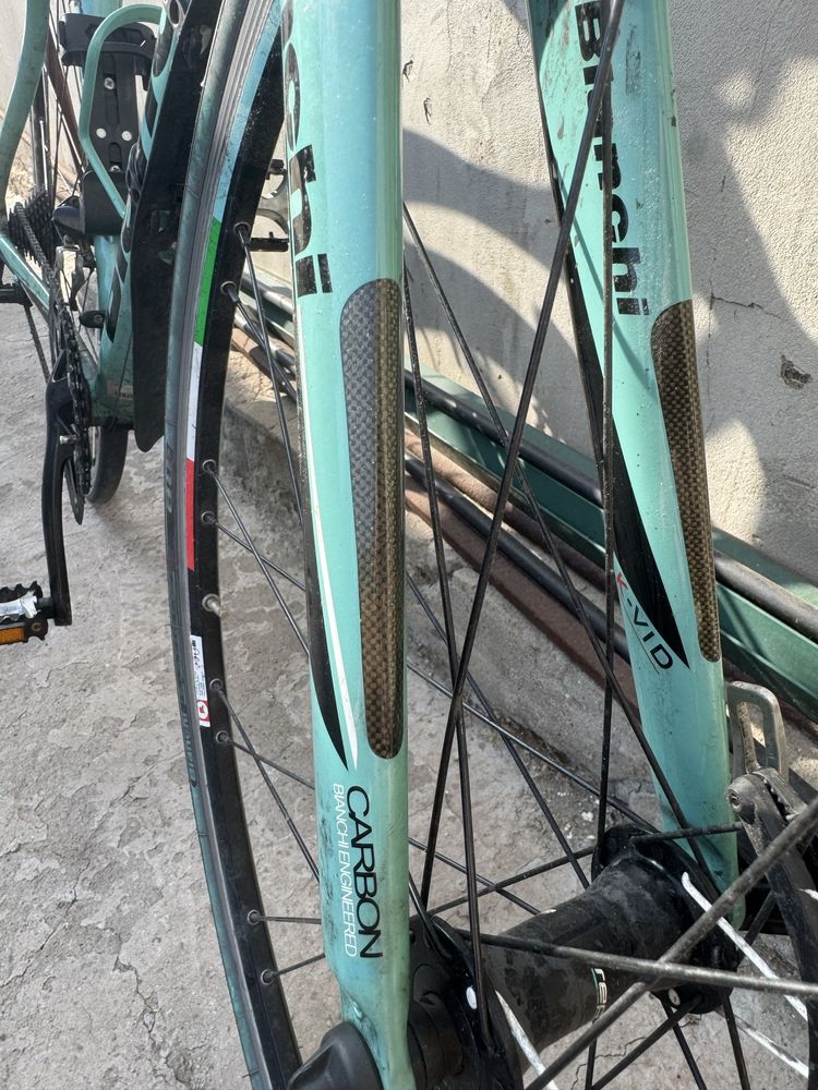 Cursiera Bianchi Impulso tiagra 28”