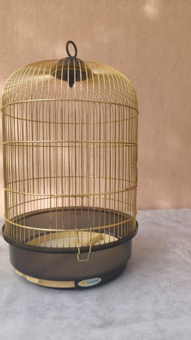 Colivie arata foarte bine