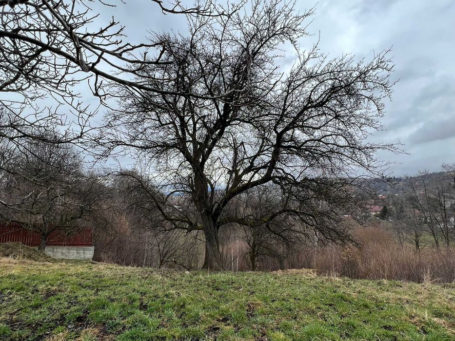 Vand Teren Bran | Predelut | Brasov | Toate utilitatile |