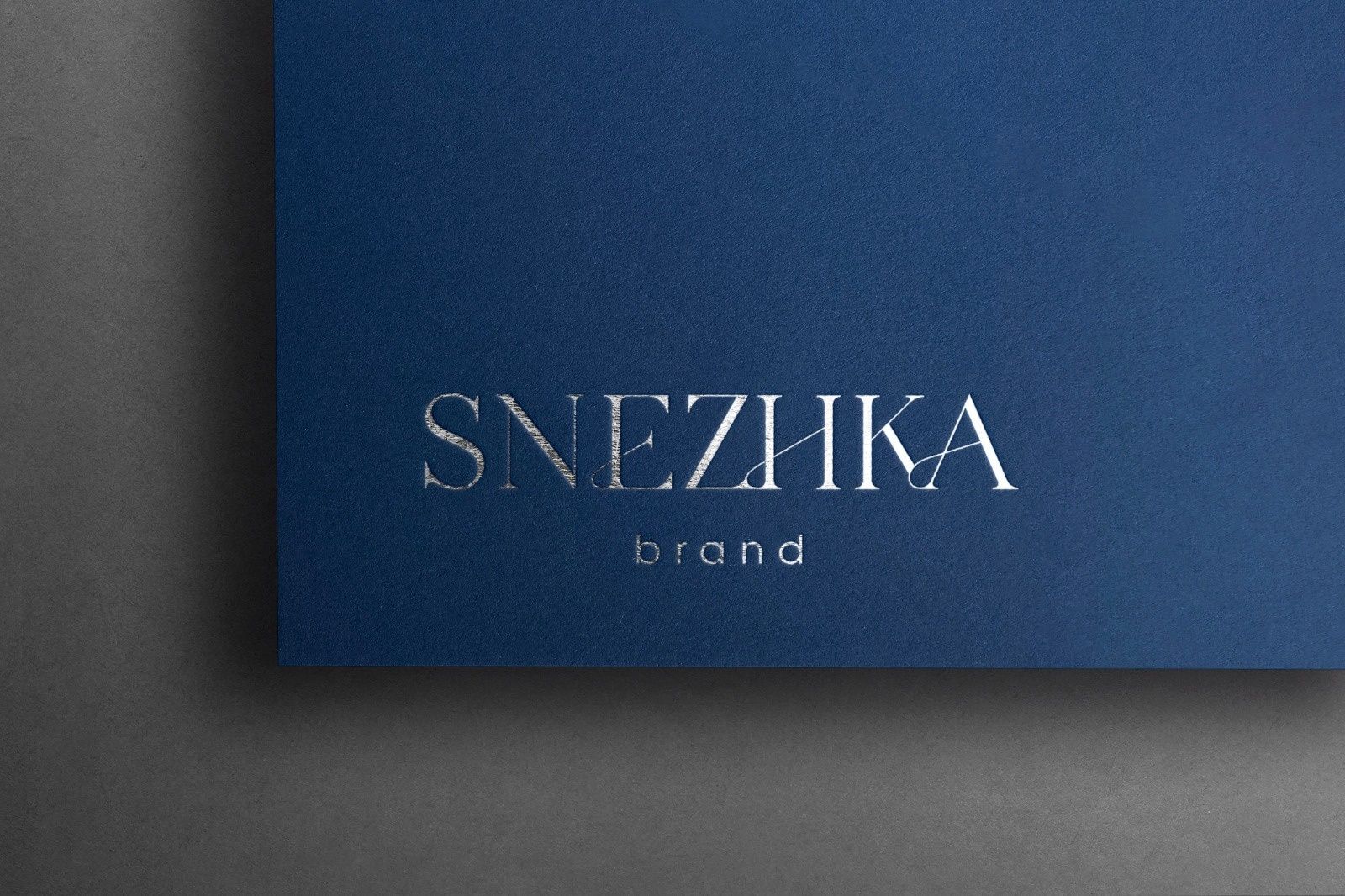 Разработка логотипа бренд фирменный знак услуги дизайнера