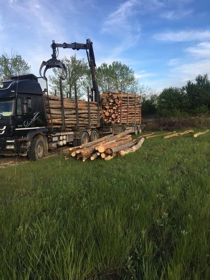 Lemn foc Botoroaga, Teleorman, Giurigiu