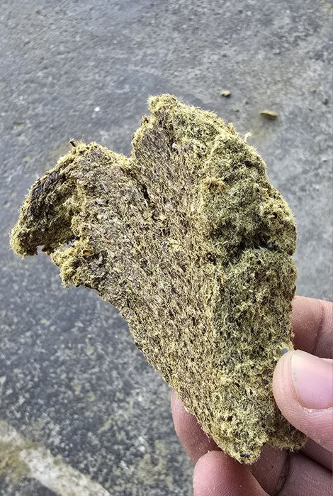 Omuxta yem mahsulotlari(кунжара)(kunjara)