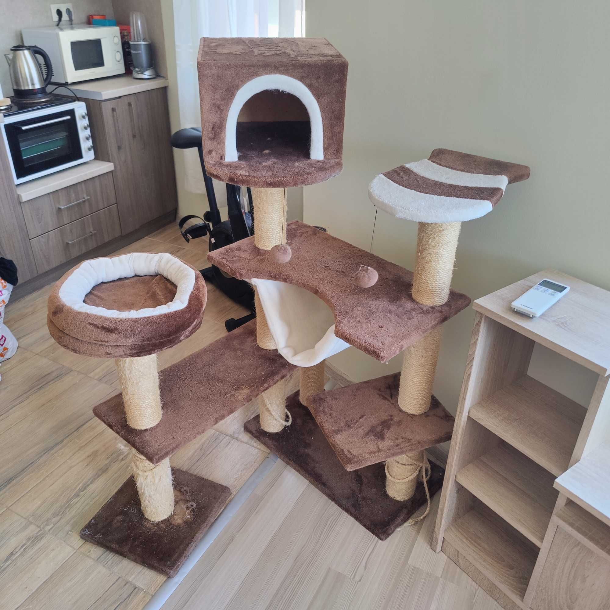 Котешка Катерушка