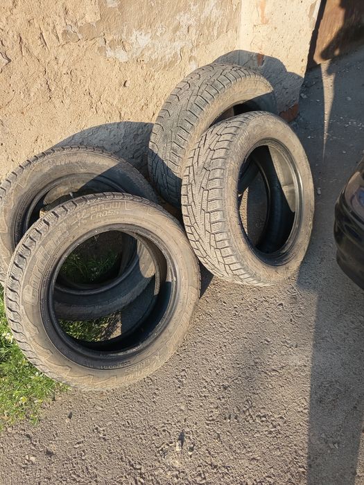 Шины не дорого кардиант