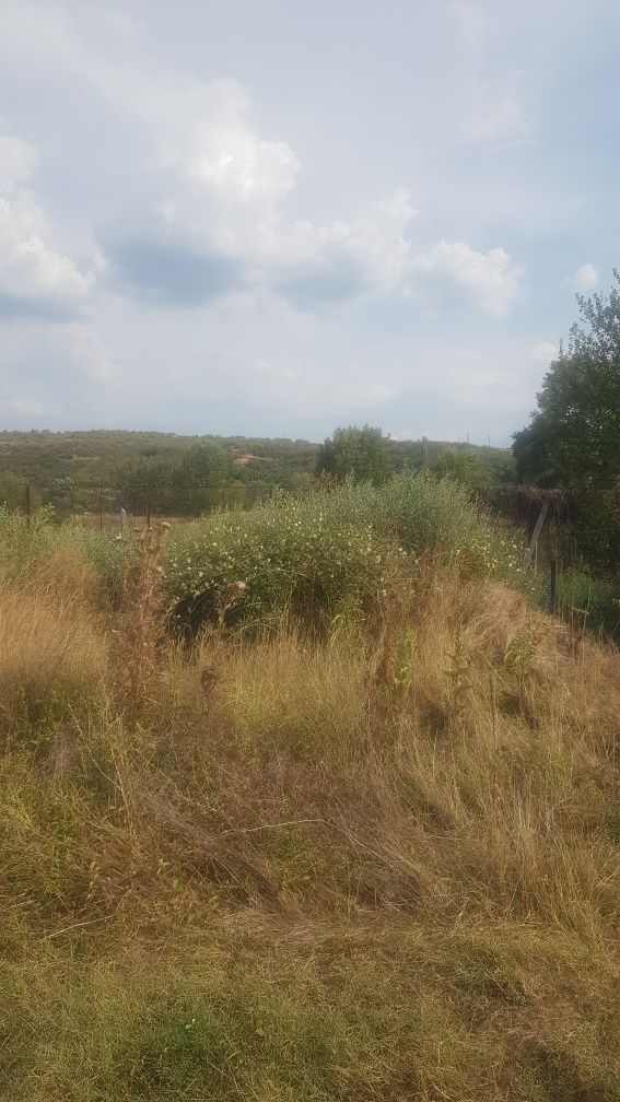 Продава се Парцел в Кочериново - 20300 кв.м за 4 €/кв.м - Снимка #1