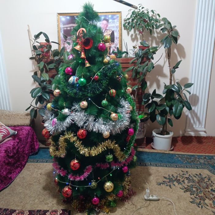 Archa yangyilga xolat yaxsh