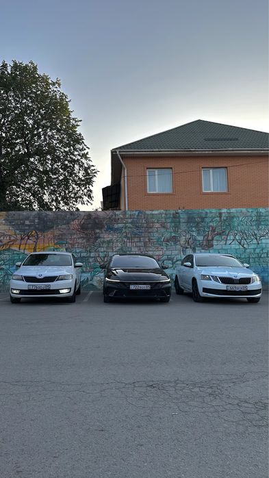 Под такси , под вкуп аренда авто Шкода ,Рапид,HyundaI Elantra,Changan