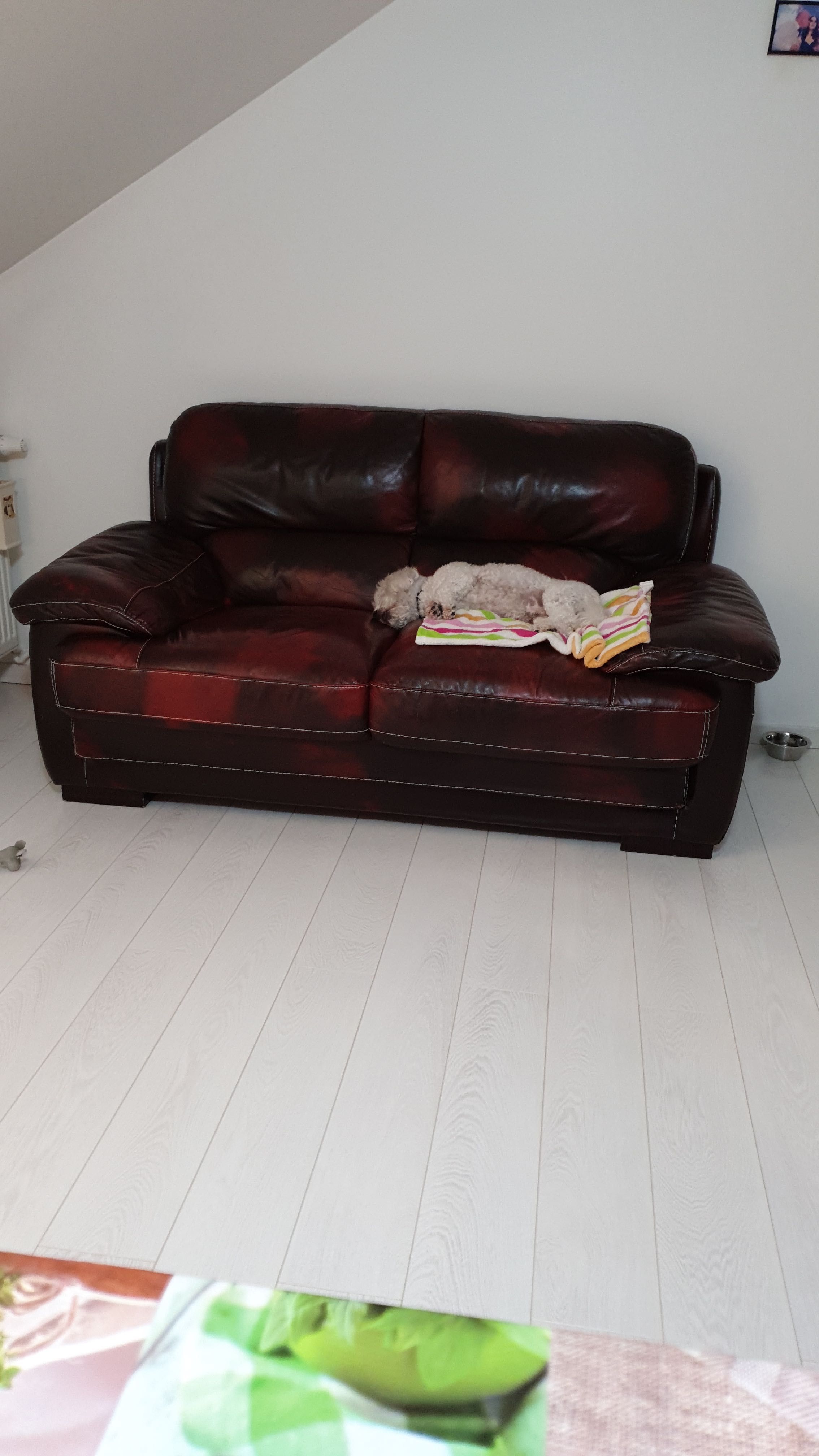 Canapele Imitatie Piele